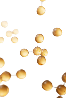 Ingredient