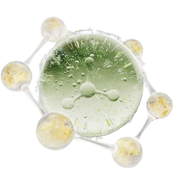 Oleoylethanolamide (OEA)